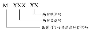 圖8醫(yī)保門診慢特病病種編碼結(jié)構(gòu)