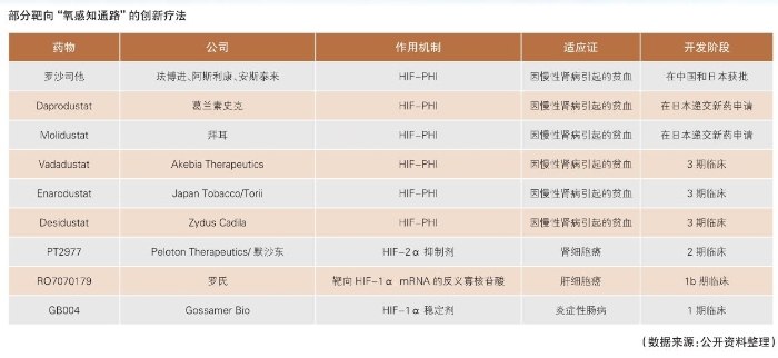 氧感知通路