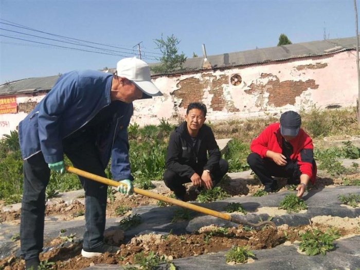 駐村第一書記顧海波了解村民產(chǎn)業(yè)種植情況。