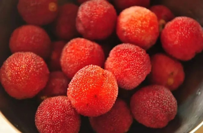 楊梅染色不能吃？吃之前一定要知道這幾個真相