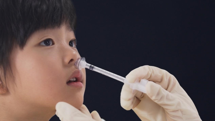 圖為鼻噴流感減毒活疫苗接種示意圖。