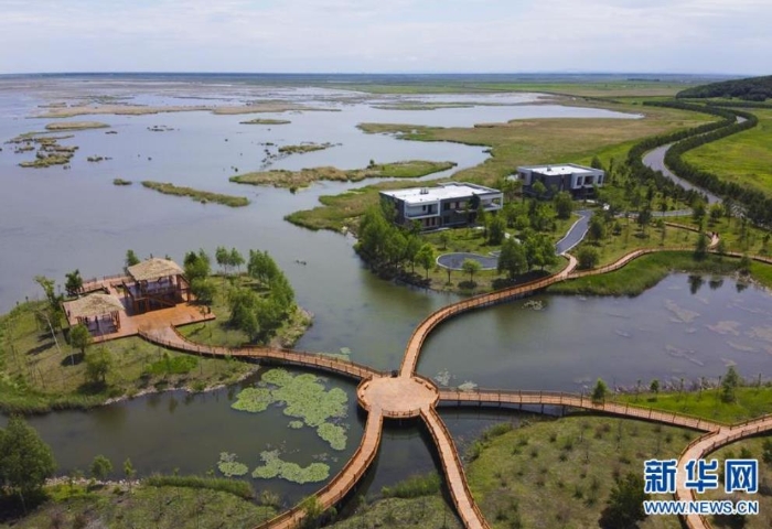 這是6月12日拍攝的富錦國家濕地公園（無人機(jī)照片）。新華社發(fā)（張濤 攝）