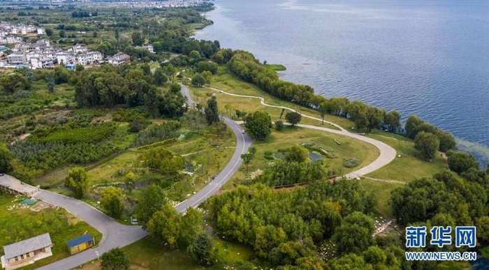 云南省大理市環(huán)洱海流域湖濱緩沖帶生態(tài)廊道一景（9月3日攝，無人機(jī)照片）。新華社記者 胡超 攝