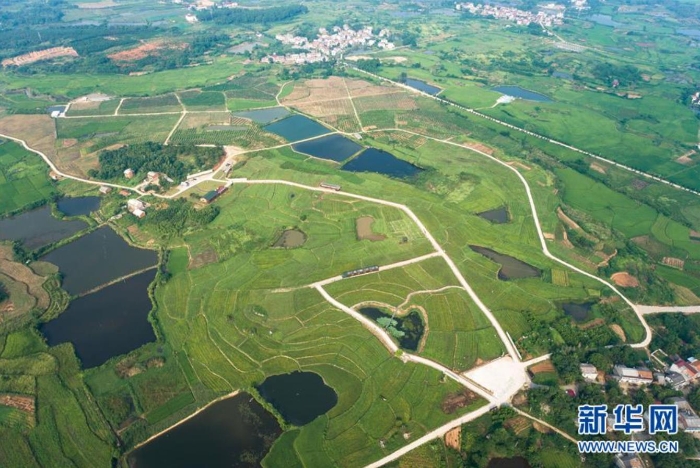 湖北省蘄春縣赤東鎮(zhèn)（無人機(jī)照片，8月25日攝）。新華社記者 肖藝九 攝