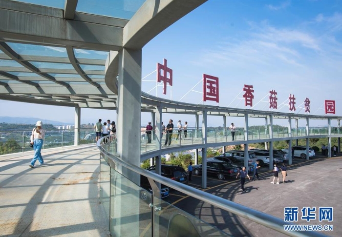 湖北省十堰市鄖陽區(qū)青龍泉社區(qū)香菇產(chǎn)業(yè)基地（8月28日攝）。新華社記者 肖藝九 攝