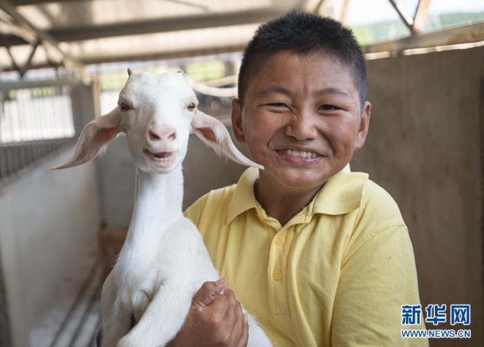湖北省孝昌縣鄒崗鎮(zhèn)校堂村大學(xué)生“羊倌”唐根根抱起一只小羊（8月26日攝）。新華社記者 肖藝九 攝
