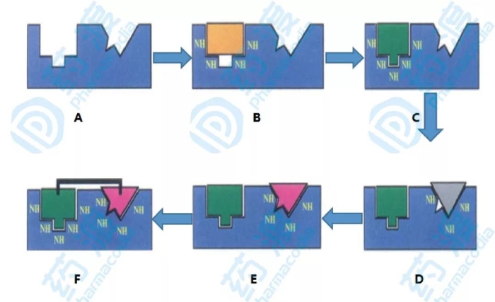 圖1.基于核磁共振技術(shù)的分子設(shè)計(jì)步驟示意圖