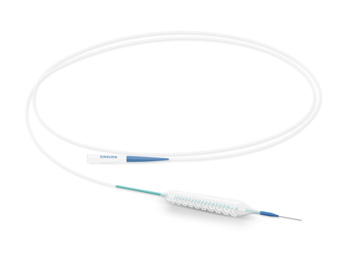 山東華安生物科技+生物可吸收冠脈雷帕霉素洗脫支架系統(tǒng)1