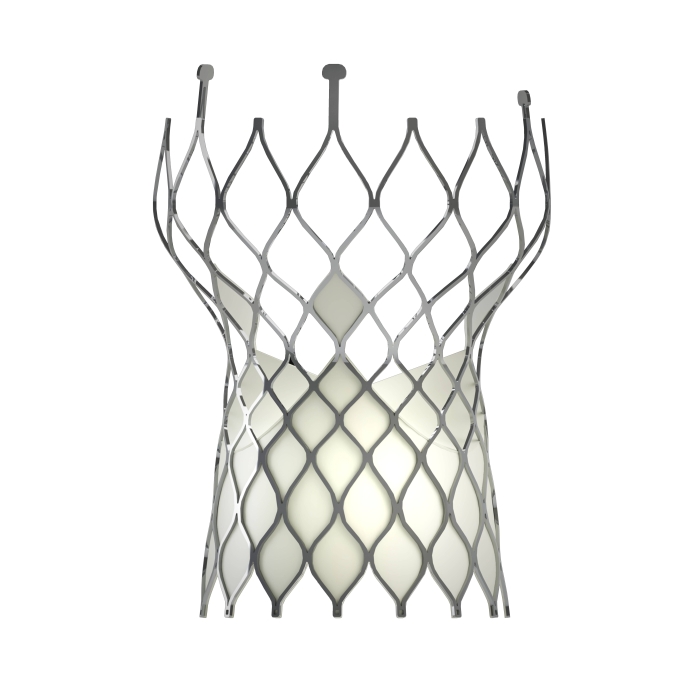 主動(dòng)脈瓣膜-3