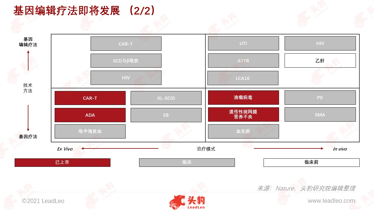 基因編輯療法即將騰飛2