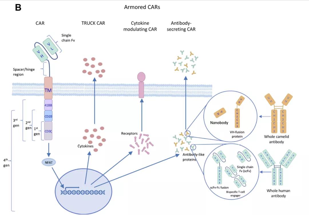 “武裝”CAR-T療法的多種策略（圖片來源：參考資料[3]）