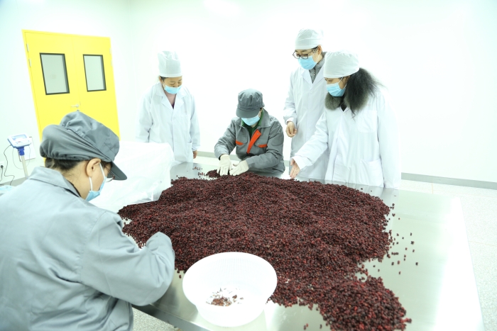 圖3為通化市監(jiān)管部門指導(dǎo)幫扶醫(yī)藥企業(yè)發(fā)展（資料圖，葉陽歡攝）。
