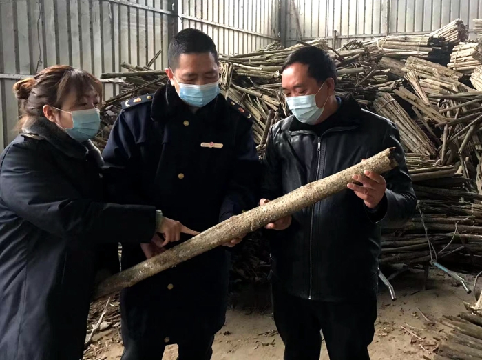 圖為工作人員在農(nóng)民專(zhuān)業(yè)合作社了解中藥材采收情況。