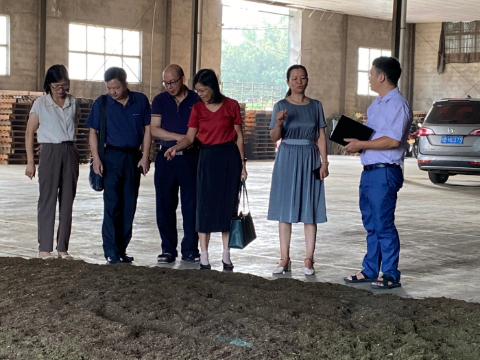 圖為調(diào)研組查看晾干粉碎后的青蒿原料。