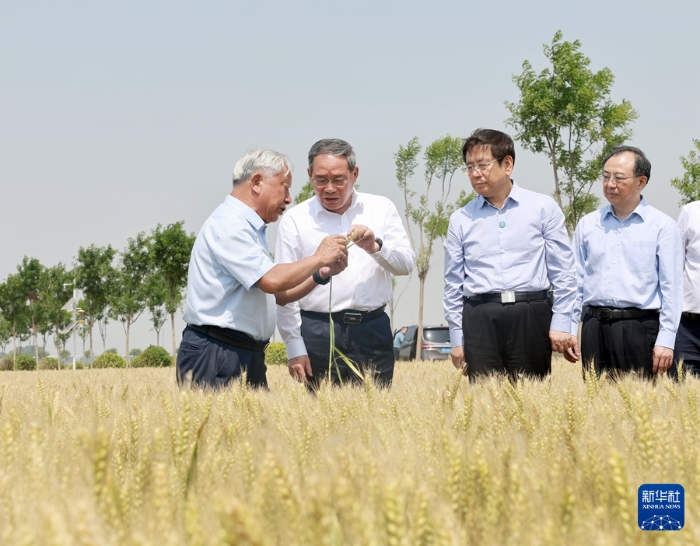 5月22日至23日，中共中央政治局常委、國務(wù)院總理李強(qiáng)在河南調(diào)研。這是5月23日，李強(qiáng)在新鄉(xiāng)市平原示范區(qū)高標(biāo)準(zhǔn)農(nóng)田調(diào)研。新華社記者 王曄 攝