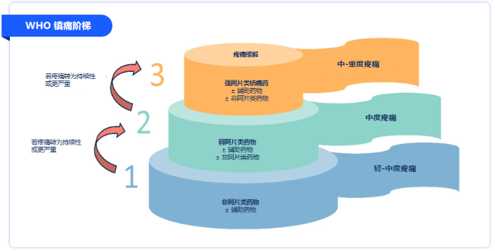 微信圖片_2026-03-17_163458_012
