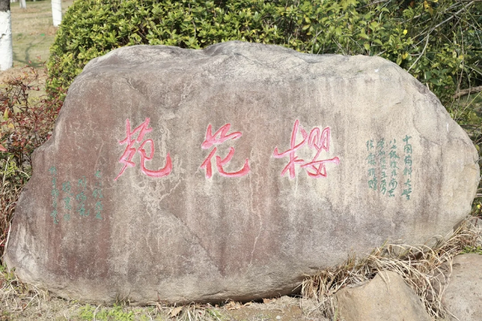 圖片3